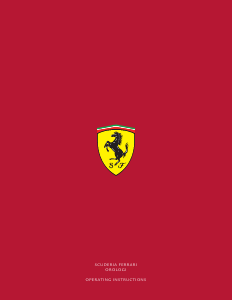 Handleiding Ferrari 830138 XX Horloge