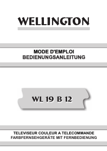 Mode d’emploi Wellington WL19B12 Téléviseur LCD