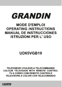 Mode d’emploi Grandin UD65VGB19 Téléviseur LCD