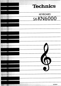 Handleiding Technics SX-KN6000 Keyboard