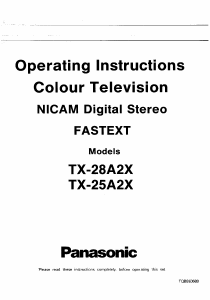 Manual Panasonic TX-25A2X Television