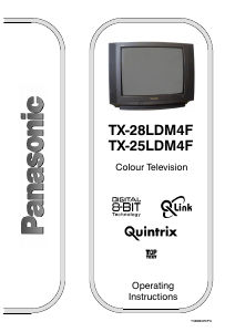 Manual Panasonic TX-25LDM4F Television