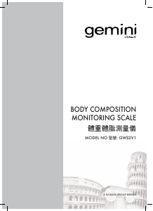 Manual Gemini GWS2V1 Scale
