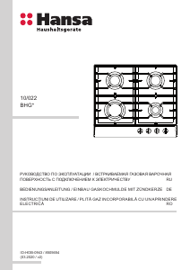 Manual Hansa BHGY630390 Plită