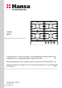 Manual Hansa BHGA610791 Plită