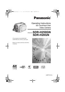Handleiding Panasonic SDR-H20GN Camcorder