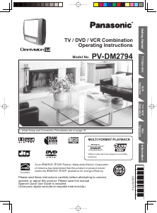 Handleiding Panasonic PV-DM2794 Televisie