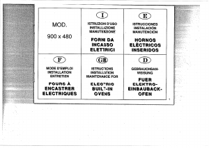 Manual de uso Candy F319/1 N Horno