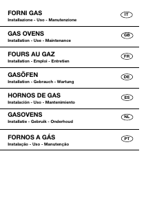 Bedienungsanleitung Candy FLG 202/1 W Backofen