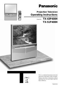 Handleiding Panasonic TX-43P400X Televisie