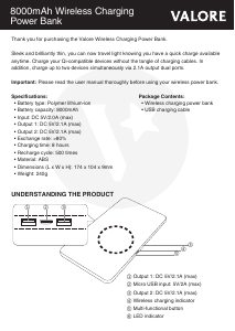 Handleiding Valore VL-PB310 Mobiele oplader