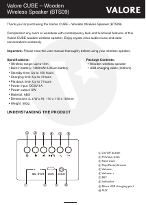 Handleiding Valore BTS09 Luidspreker