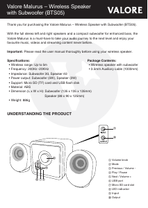 Manual Valore BTS05 Speaker