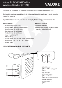 Manual Valore BTS10 Speaker