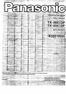 Manual Panasonic TX-28X1DP Television