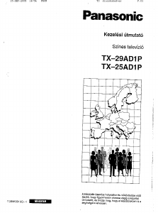 Használati útmutató Panasonic TX-29AD1P Televízió