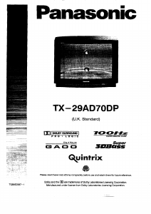 Handleiding Panasonic TX-29AD70DP Televisie