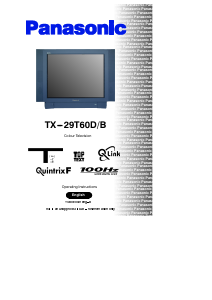 Manual Panasonic TX-29T60DB Television