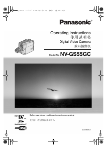 Manual Panasonic NV-GS55GC Camcorder