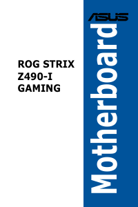 Manual Asus ROG STRIX Z490-I GAMING Motherboard