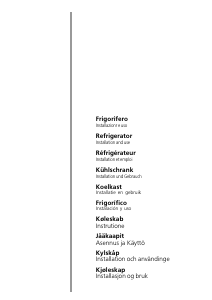 Käyttöohje Indesit RG 2190 TI.1 Jääkaappipakastin