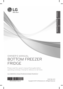 Manual LG GMJ916NSHV Fridge-Freezer