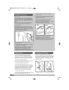 Manual Morphy Richards 300603 Turbosteam Iron