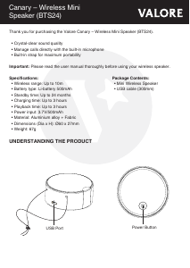 Handleiding Valore BTS24 Luidspreker