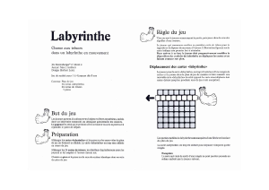 Mode d’emploi Ravensburger Labyrinthe