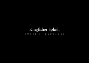 Manual Christopher Ward W6 Kingfisher Splash Watch