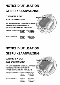 Handleiding BEKO CG 61000 G Fornuis