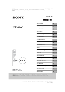 Manual de uso Sony Bravia KD-65XH9077 Televisor de LCD