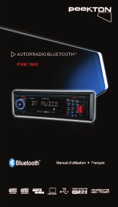 Mode d’emploi Peekton PKM 1060 Autoradio