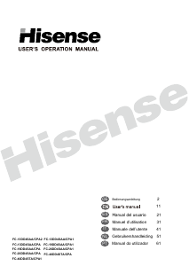 Bedienungsanleitung Hisense FT546D4AW1 Gefrierschrank