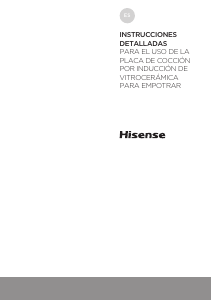Manual de uso Hisense E6431C Placa