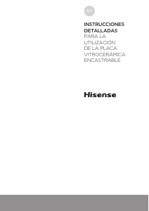 Manual de uso Hisense I6341C Placa