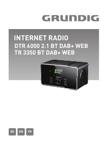 Bedienungsanleitung Grundig DTR 6000 2.1 BT DAB+ WEB Radio