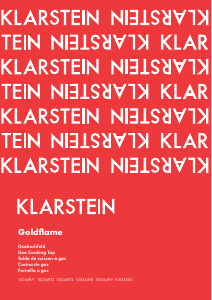 Manual de uso Klarstein 10034973 Goldflame Placa