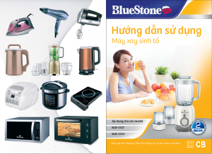 Hướng dẫn sử dụng BlueStone BLB-5313 Máy xay sinh tố