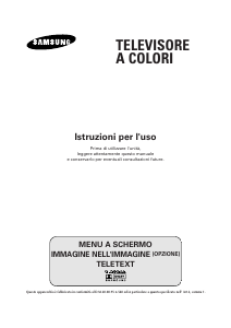 Manuale Samsung CW29A1082G Televisore