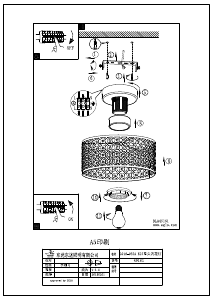 Manuale Eglo 49161 Lampada