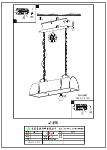 Mode d’emploi Eglo 49687 Lampe