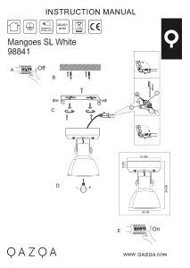 Mode d’emploi Qazqa 98841 Mangoes Lampe