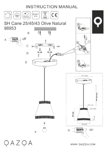 Bruksanvisning Qazqa 98953 Frills Can Lampa