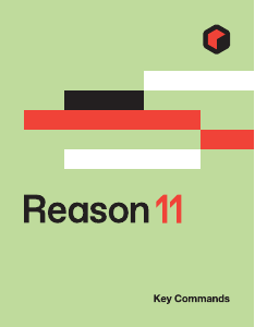 Manual Reason 11