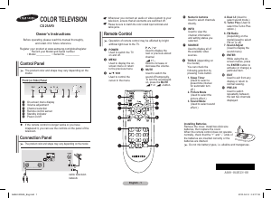 Manual Samsung CS21D531FJ Television