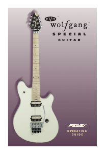 Handleiding Peavey EVH Wolfgang Special Gitaar