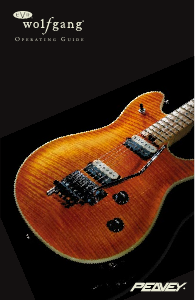 Mode d’emploi Peavey EVH Wolfgang Guitare