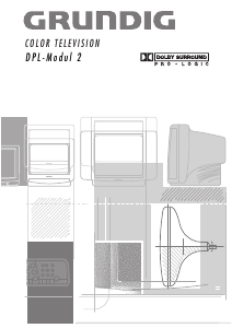 Mode d’emploi Grundig DPL-Modul 2 Téléviseur