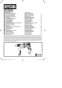 Manual Ryobi EID-11002RV Maşină de găurit cu percuţie